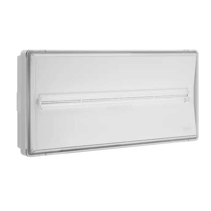Bloc de secours LED PRATICA MODULA P.MODULA 700 IP65 CT SA/SE P.MODULA 700 IP65 CT SA/SE — Beghelli