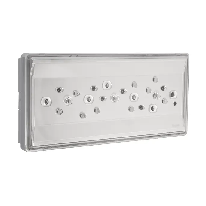 MATRIX 2700 IP65 CT SA/SE — Beghelli