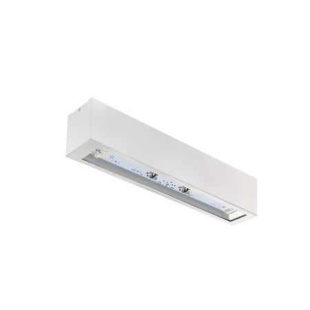 PRIMO A F1 CB W — TM Technologie