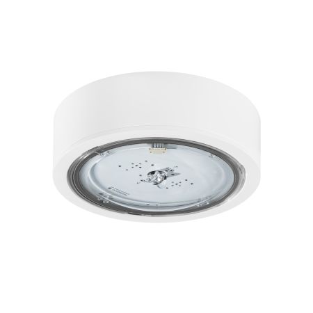 ITECH F1 302 M DALI-2 W — TM Technologie