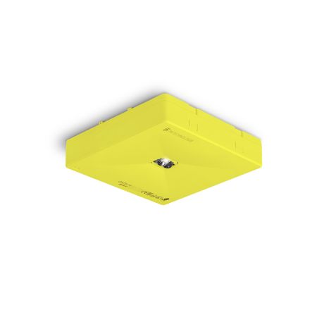 ONTEC R C1 60 NM ST L — TM Technologie