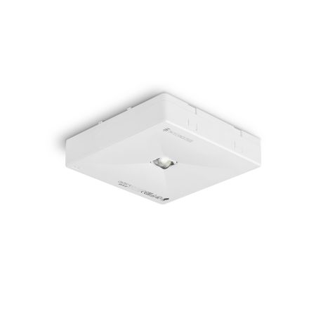 ONTEC R W1 302 M DALI-2 W — TM Technologie