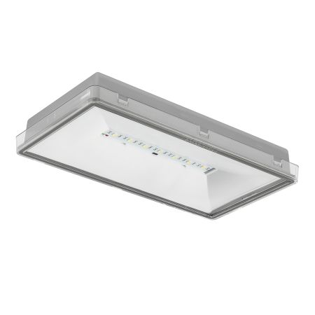 ONTEC S M2 102 M AT G COLD — TM Technologie